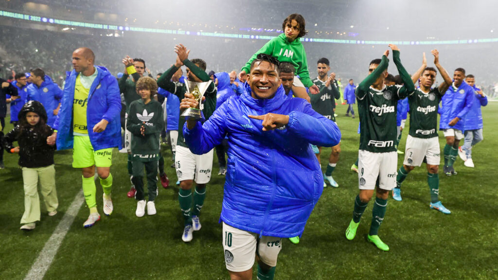 Foto Destaque: Palmeiras