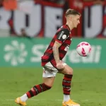 Foto: Gilvan de Souza / Flamengo
