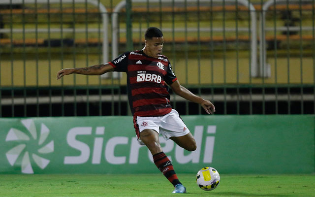 Foto: Gilvan de Souza/ Flamengo