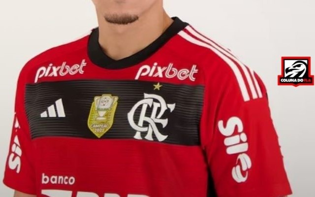 Foto: Reprodução/ Flamengo