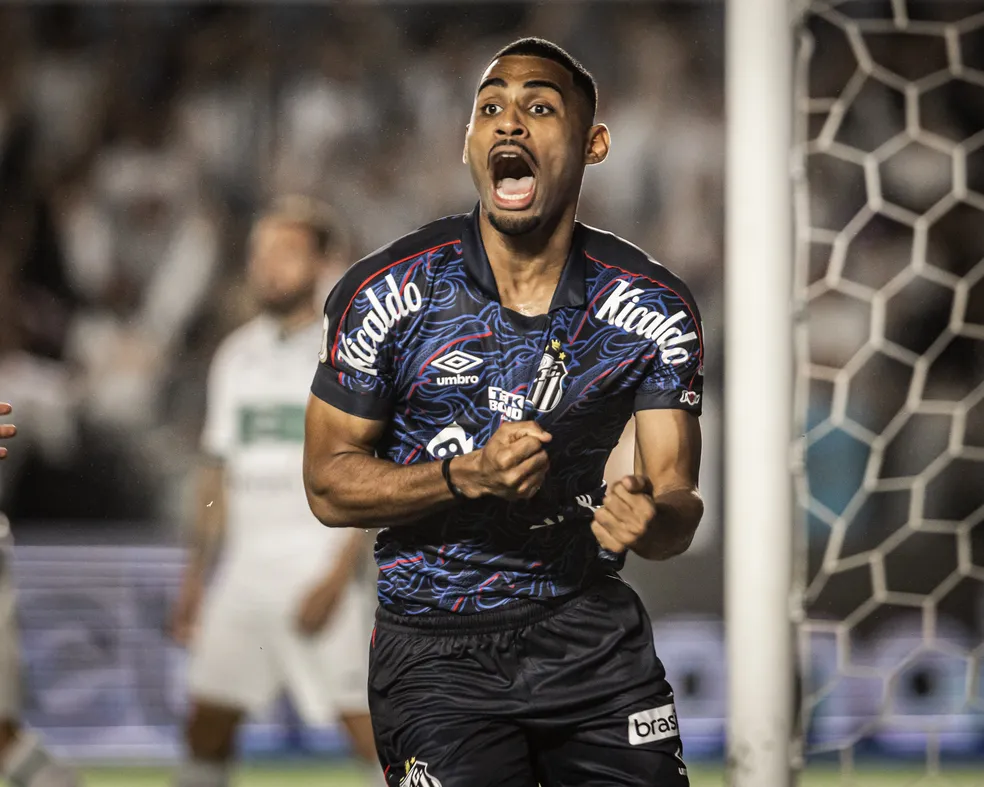 Foto: Raul Baretta/ Santos FC