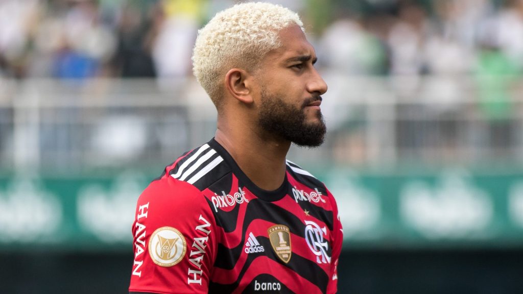 Pablo, zagueiro emprestado pelo Flamengo ao Botafogo - Foto: Robson Mafra/AGIF