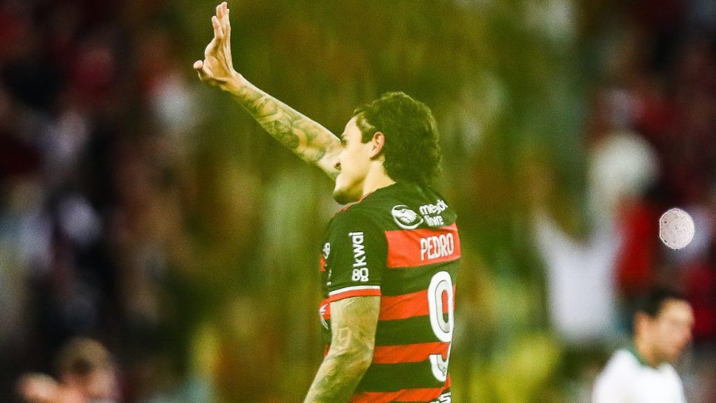 Foto: Gilvan de Souza / Flamengo